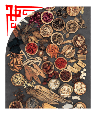 Power Foods for Vitality